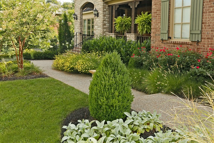 _MG_9166_Edit_Full-X2